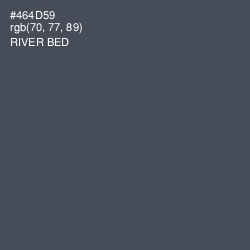 #464D59 - River Bed Color Image